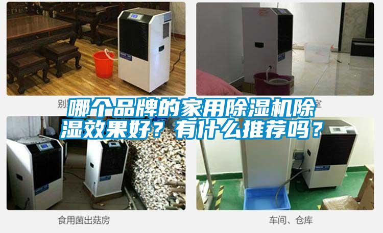 哪個品牌的家用除濕機(jī)除濕效果好<div   id=