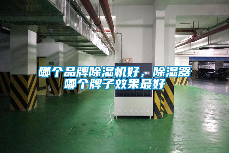 哪個品牌除濕機好<div   id=