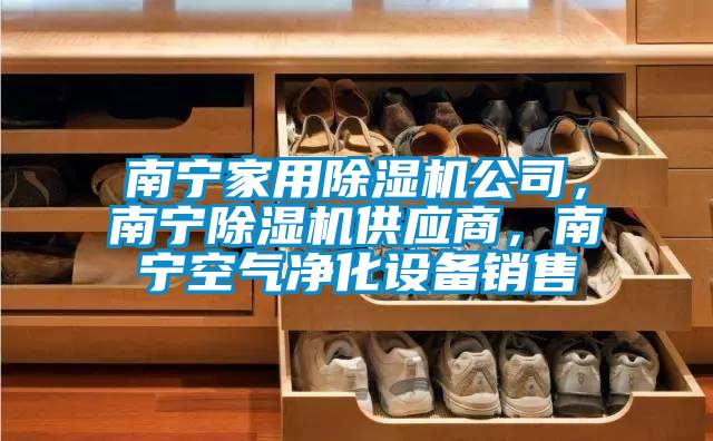 南寧家用除濕機(jī)公司，南寧除濕機(jī)供應(yīng)商<div   id=