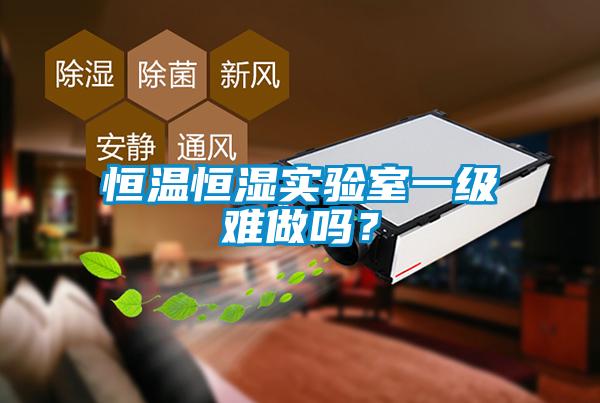 恒溫恒濕實驗室一級難做嗎<div   id=
