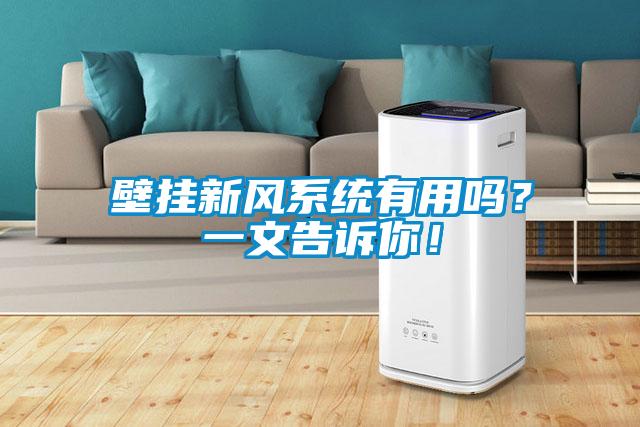 壁掛新風(fēng)系統(tǒng)有用嗎<div   id=