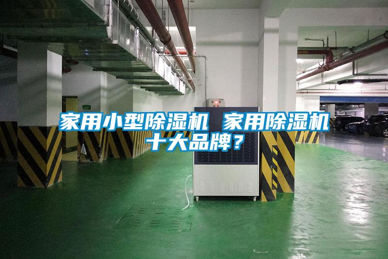 家用小型除濕機(jī) 家用除濕機(jī)十大品牌<div   id=