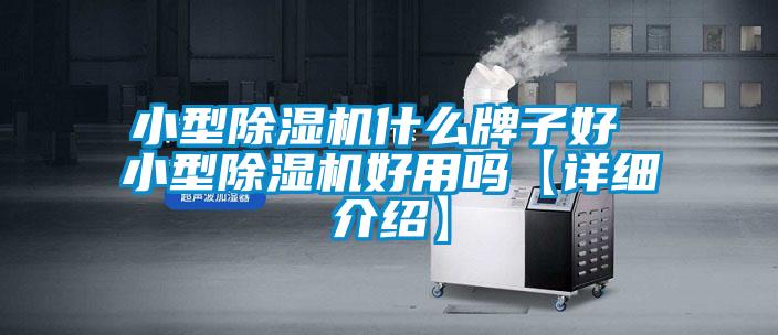 小型除濕機什么牌子好 小型除濕機好用嗎【詳細(xì)介紹】