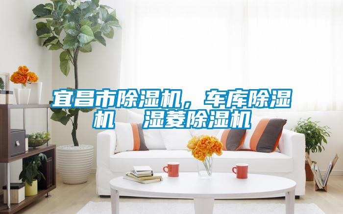 宜昌市除濕機(jī)<div   id=
