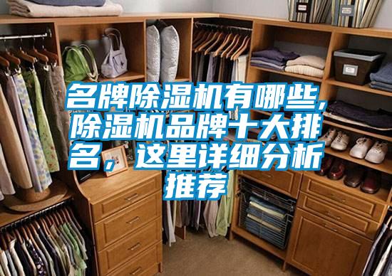 名牌除濕機有哪些,除濕機品牌十大排名<div   id=