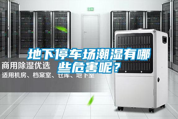 地下停車場(chǎng)潮濕有哪些危害呢？