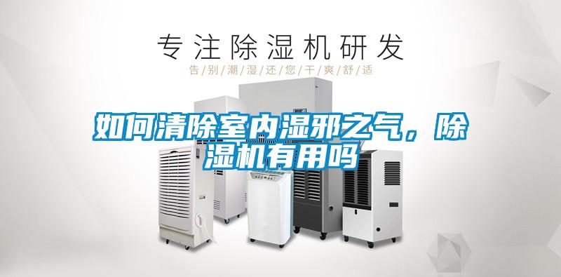 如何清除室內(nèi)濕邪之氣，除濕機(jī)有用嗎