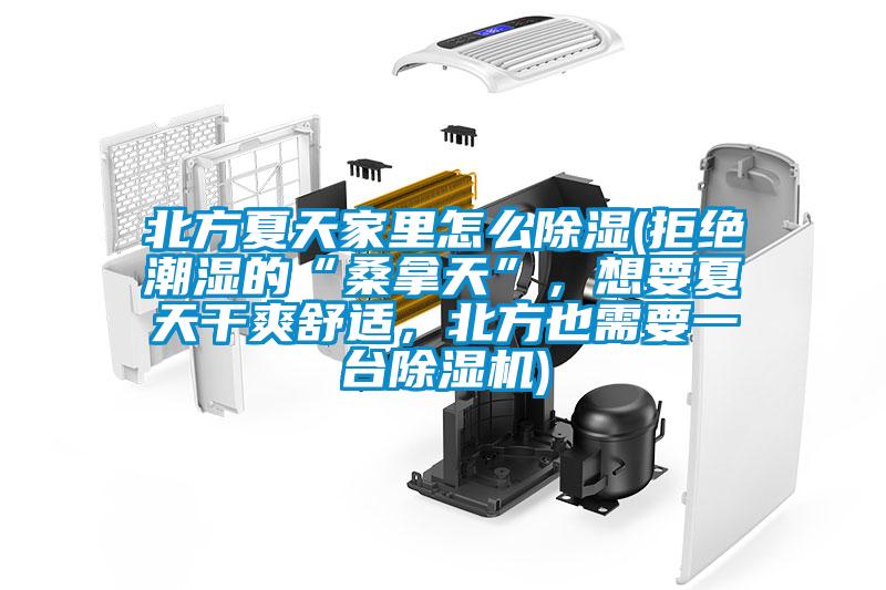 北方夏天家里怎么除濕(拒絕潮濕的“桑拿天”，想要夏天干爽舒適<div   id=