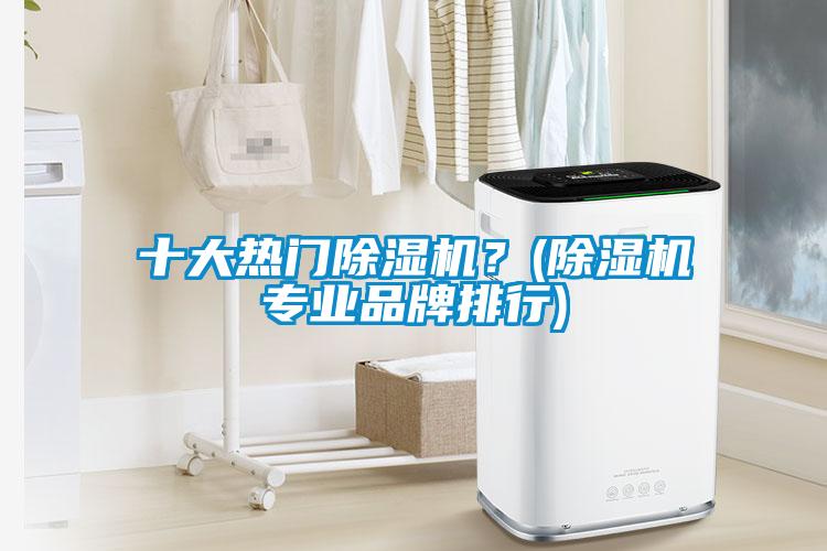 十大熱門除濕機<div   id=