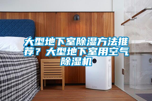 大型地下室除濕方法推薦<div   id=