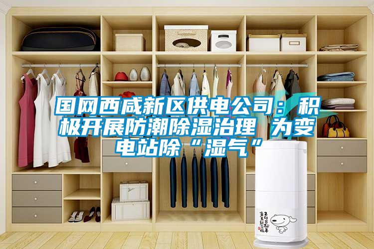 國網(wǎng)西咸新區(qū)供電公司:積極開展防潮除濕治理 為變電站除“濕氣”