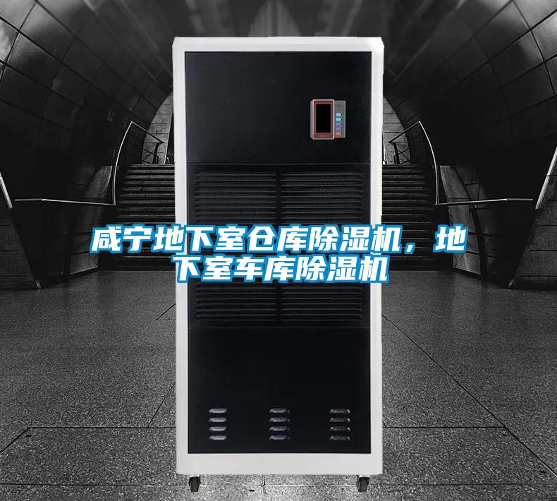 咸寧地下室倉庫除濕機<div   id=
