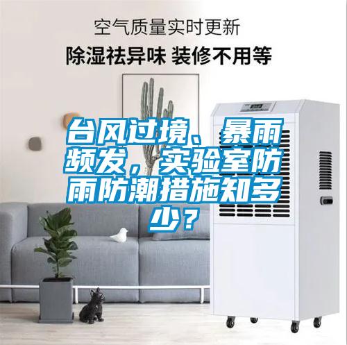 臺風(fēng)過境<div   id=