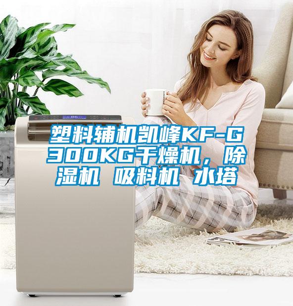 塑料輔機凱峰KF-G300KG干燥機<div   id=