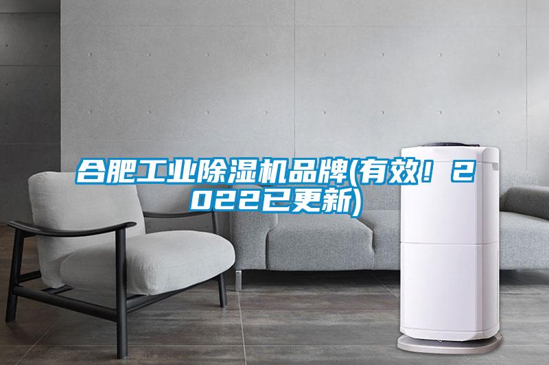 合肥工業(yè)除濕機(jī)品牌(有效<div   id=