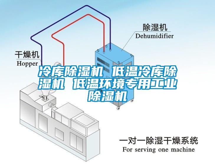 冷庫除濕機(jī) 低溫冷庫除濕機(jī) 低溫環(huán)境專用工業(yè)除濕機(jī)