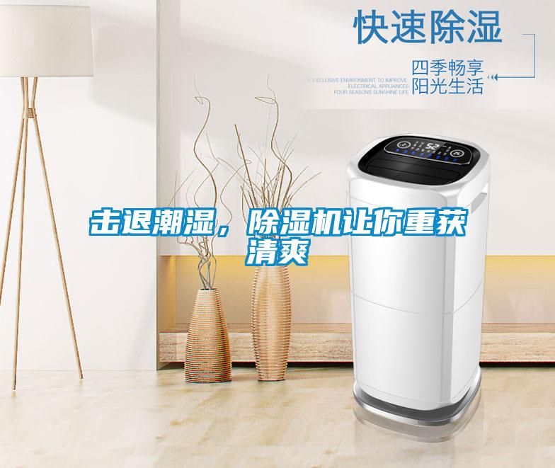 擊退潮濕，除濕機(jī)讓你重獲清爽