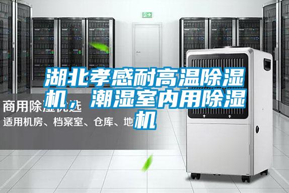 湖北孝感耐高溫除濕機(jī)<div   id=