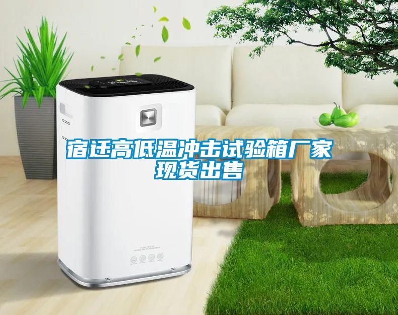 宿遷高低溫沖擊試驗箱廠家現(xiàn)貨出售