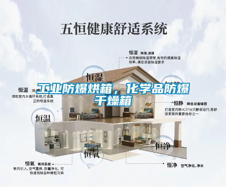 工業(yè)防爆烘箱，化學品防爆干燥箱