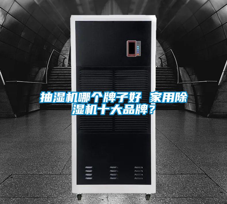 抽濕機(jī)哪個(gè)牌子好 家用除濕機(jī)十大品牌<div   id=