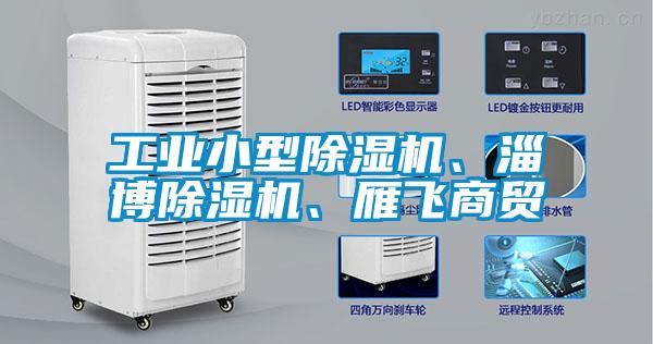 工業(yè)小型除濕機(jī)<div   id=