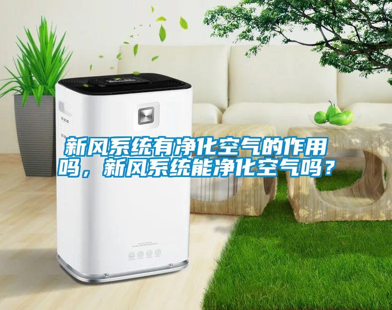 新風(fēng)系統(tǒng)有凈化空氣的作用嗎<div   id=