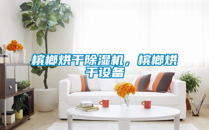 檳榔烘干除濕機(jī)<div   id=