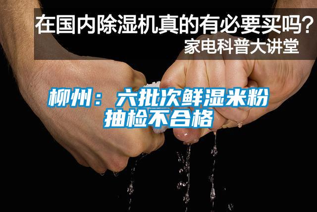 柳州:六批次鮮濕米粉抽檢不合格