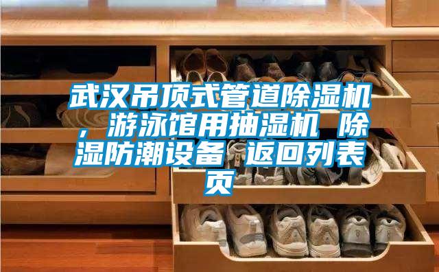 武漢吊頂式管道除濕機<div   id=