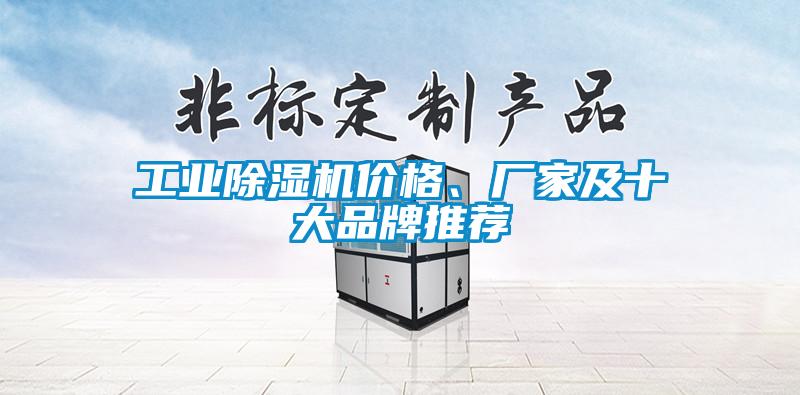 工業(yè)除濕機(jī)價格<div   id=