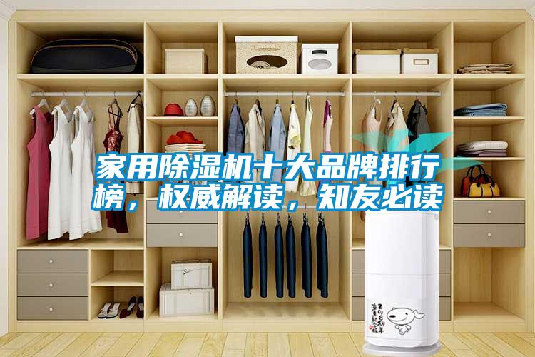 家用除濕機十大品牌排行榜，權威解讀<div   id=