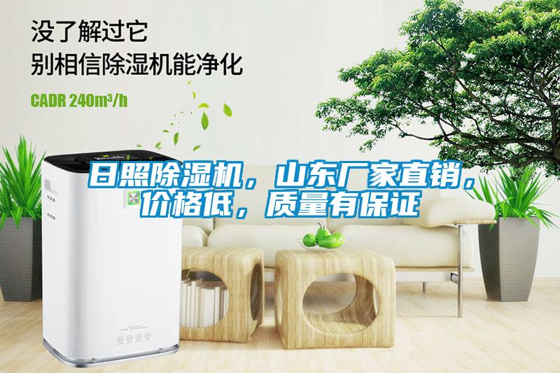 日照除濕機(jī)<div   id=