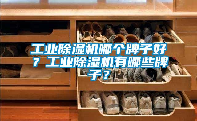 工業(yè)除濕機哪個牌子好？工業(yè)除濕機有哪些牌子<div   id=