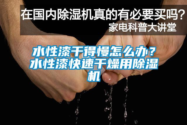 水性漆干得慢怎么辦？水性漆快速干燥用除濕機(jī)