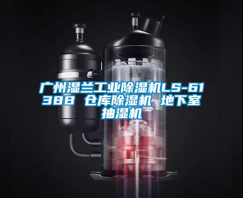 廣州濕蘭工業(yè)除濕機(jī)LS-6138B 倉(cāng)庫除濕機(jī) 地下室抽濕機(jī)