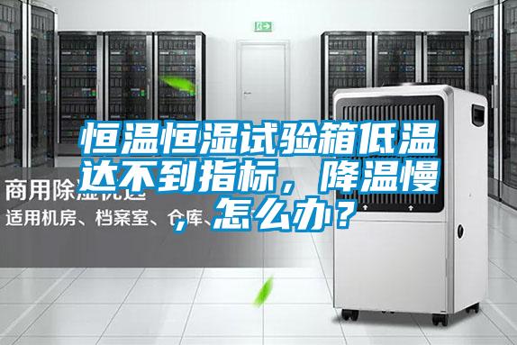 恒溫恒濕試驗(yàn)箱低溫達(dá)不到指標(biāo)<div   id=