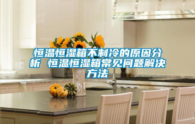 恒溫恒濕箱不制冷的原因分析 恒溫恒濕箱常見(jiàn)問(wèn)題解決方法