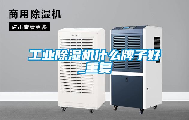 工業(yè)除濕機(jī)什么牌子好_重復(fù)