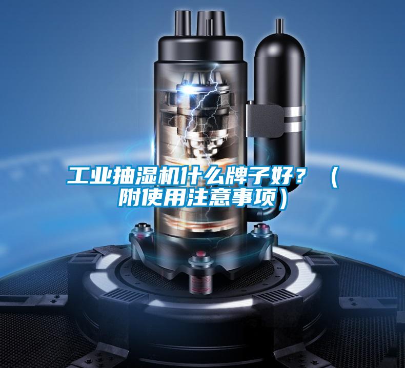 工業(yè)抽濕機什么牌子好<div   id=