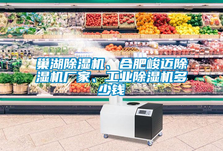 巢湖除濕機<div   id=