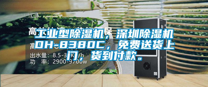 工業(yè)型除濕機，深圳除濕機DH-8380C<div   id=