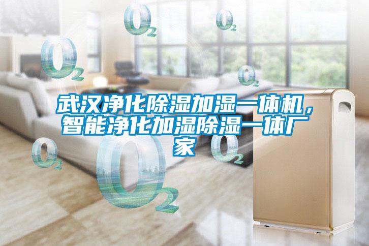 武漢凈化除濕加濕一體機(jī)<div   id=