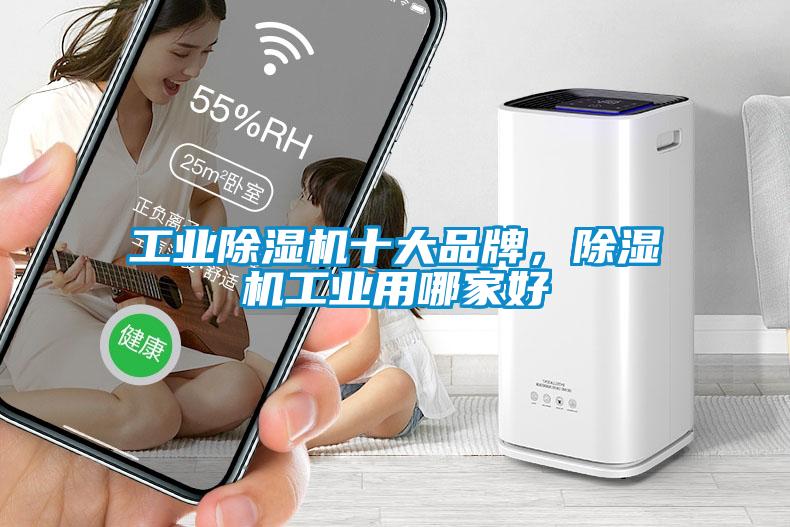 工業(yè)除濕機(jī)十大品牌<div   id=