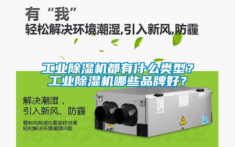 工業(yè)除濕機(jī)都有什么類型<div   id=