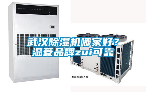 武漢除濕機哪家好<div   id=
