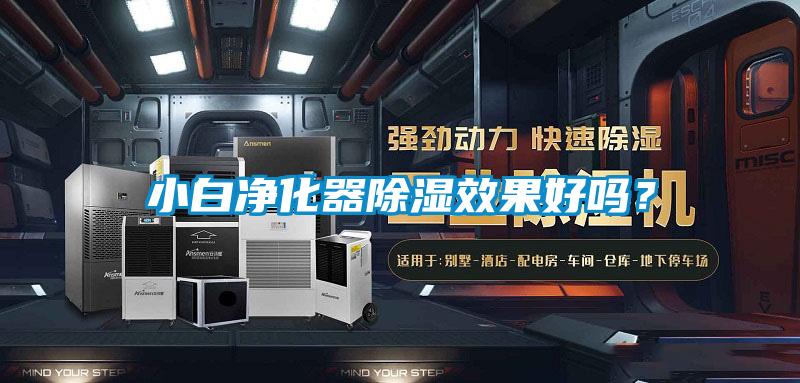 小白凈化器除濕效果好嗎<div   id=