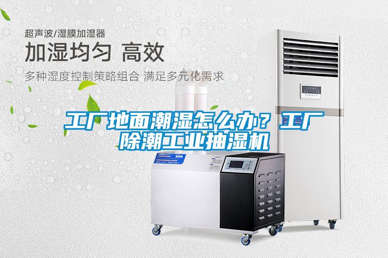 工廠地面潮濕怎么辦<div   id=
