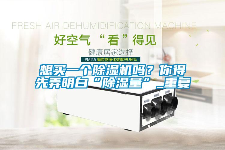 想買一個除濕機(jī)嗎<div   id=