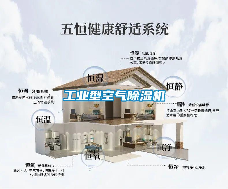 工業(yè)型空氣除濕機